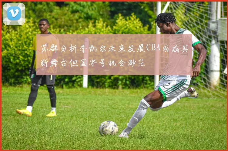苏群分析李凯尔未来发展CBA或成其新舞台但国字号机会渺茫